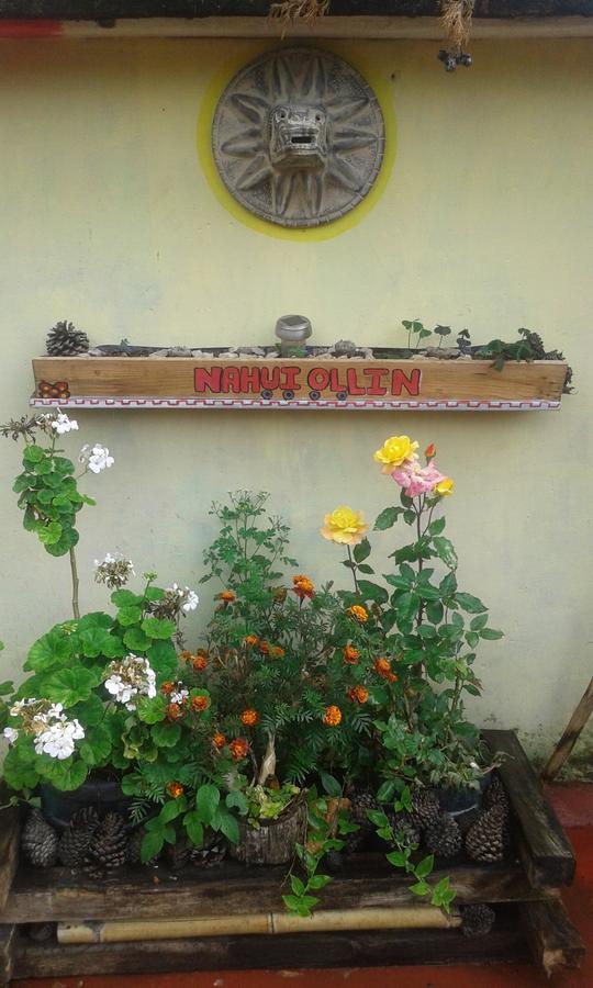 Hostal Nahui Ollin San Cristóbal de Las Casas Kültér fotó