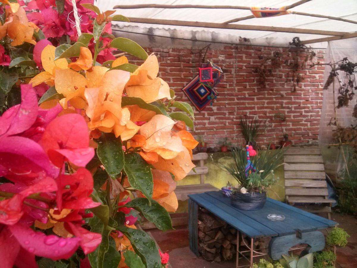 Hostal Nahui Ollin San Cristóbal de Las Casas Kültér fotó